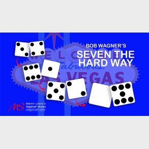 SEVEN THE HARD WAY by Martin Lewis