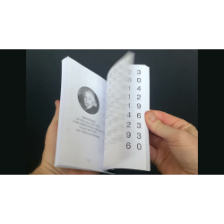 Pi MAX Book Test by Vincent Hedan 