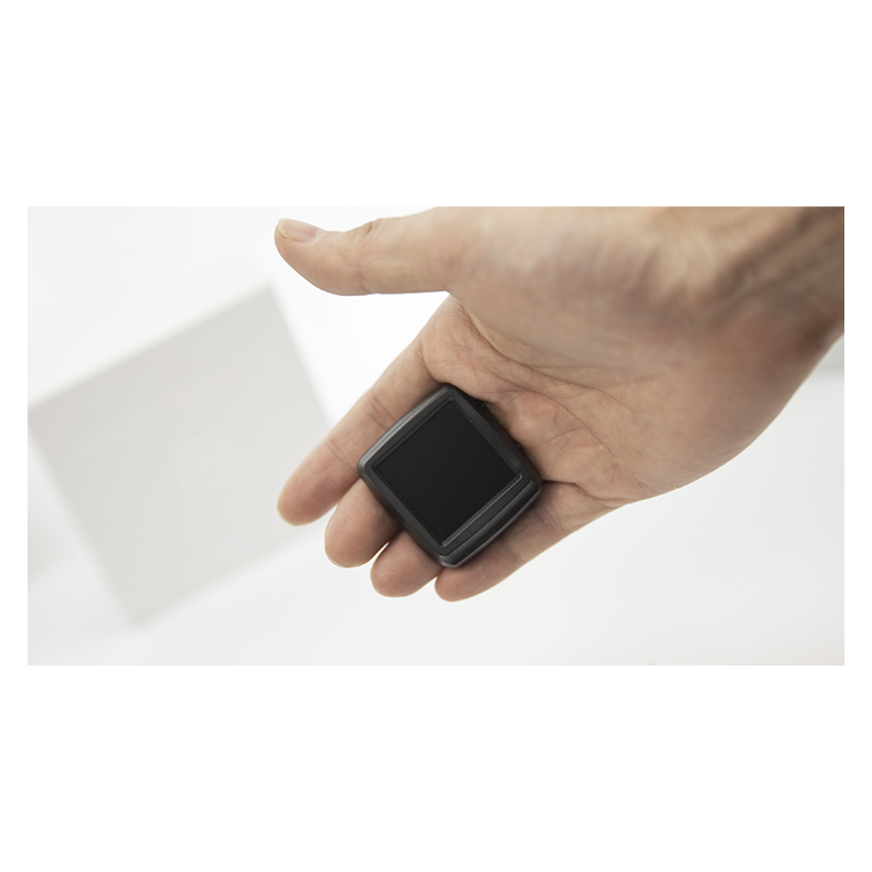 Palm Peeker by PITATA MAGIC