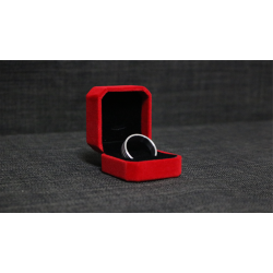 Neomagnetic Ring (24mm) by Leo Smetsers