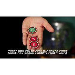 The Ying Yang Poker Chips