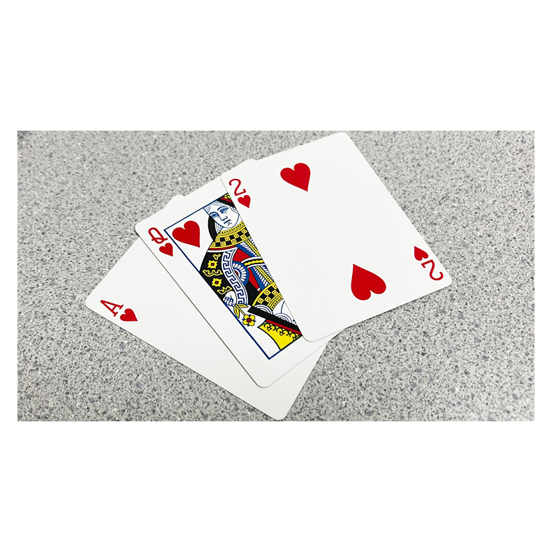Bicycle 2 Faced Red Tuck (Mirror Deck Same on both sides) Playing Card