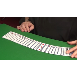 The Deck That Shuffles Itself by Dominique Duvivier