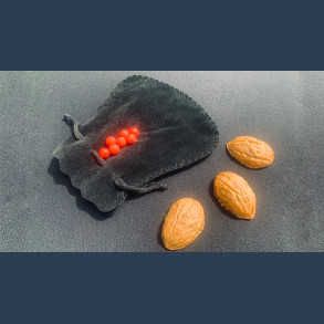 Street Shells by Whit Haydn and Chef Anton