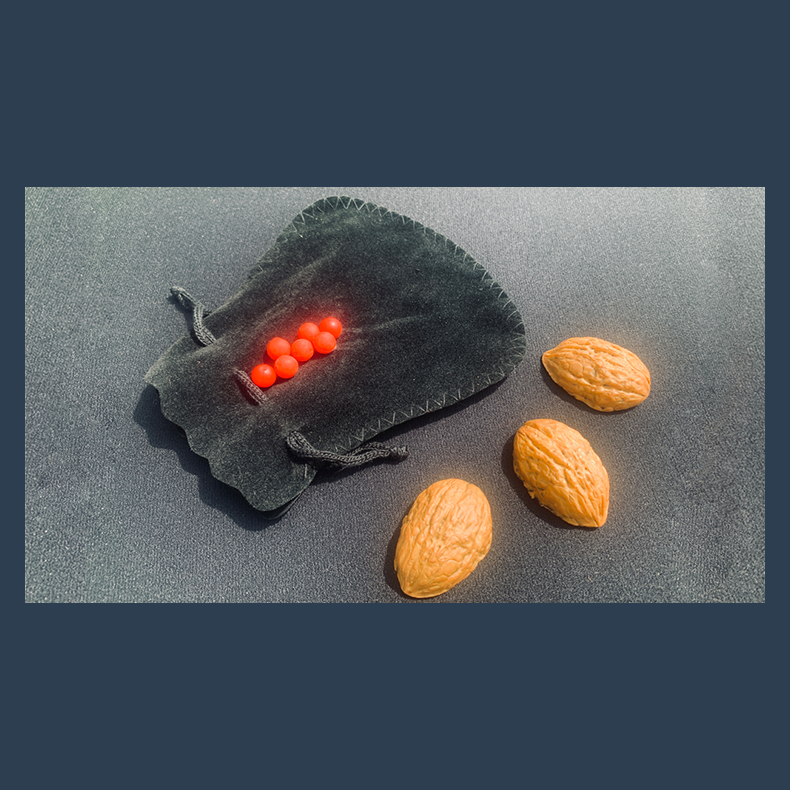 Street Shells by Whit Haydn and Chef Anton