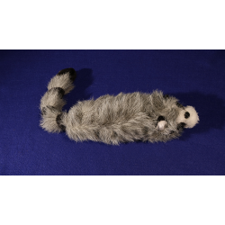 Roxie The Raccoon (Spring Animal)