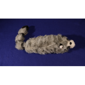 Roxie The Raccoon (Spring Animal)