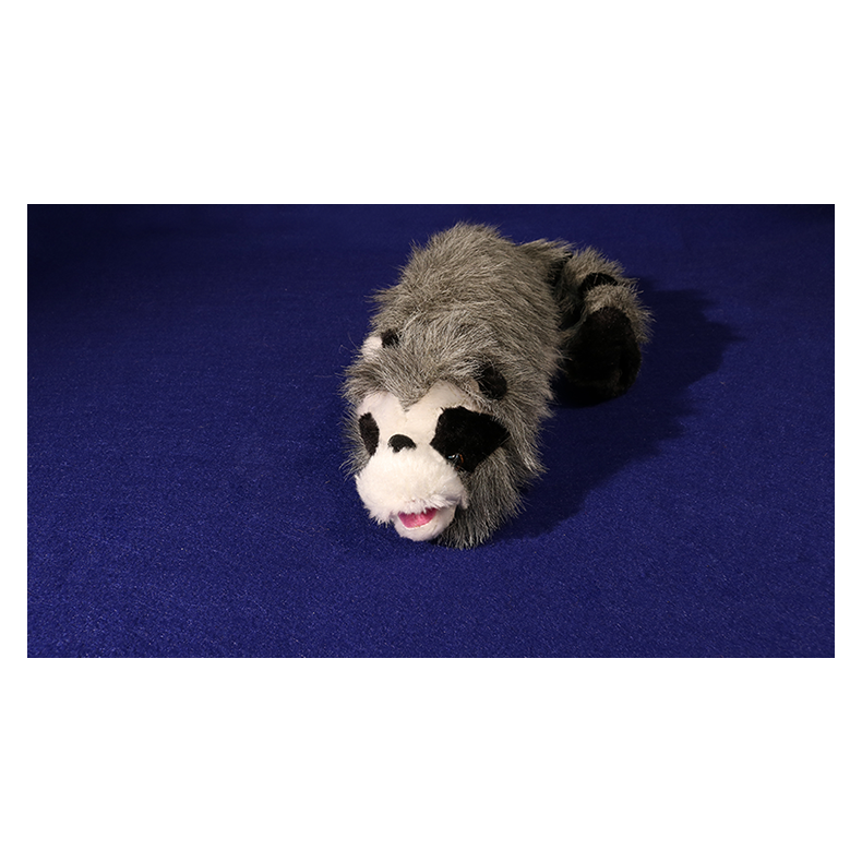 Roxie The Raccoon (Spring Animal)