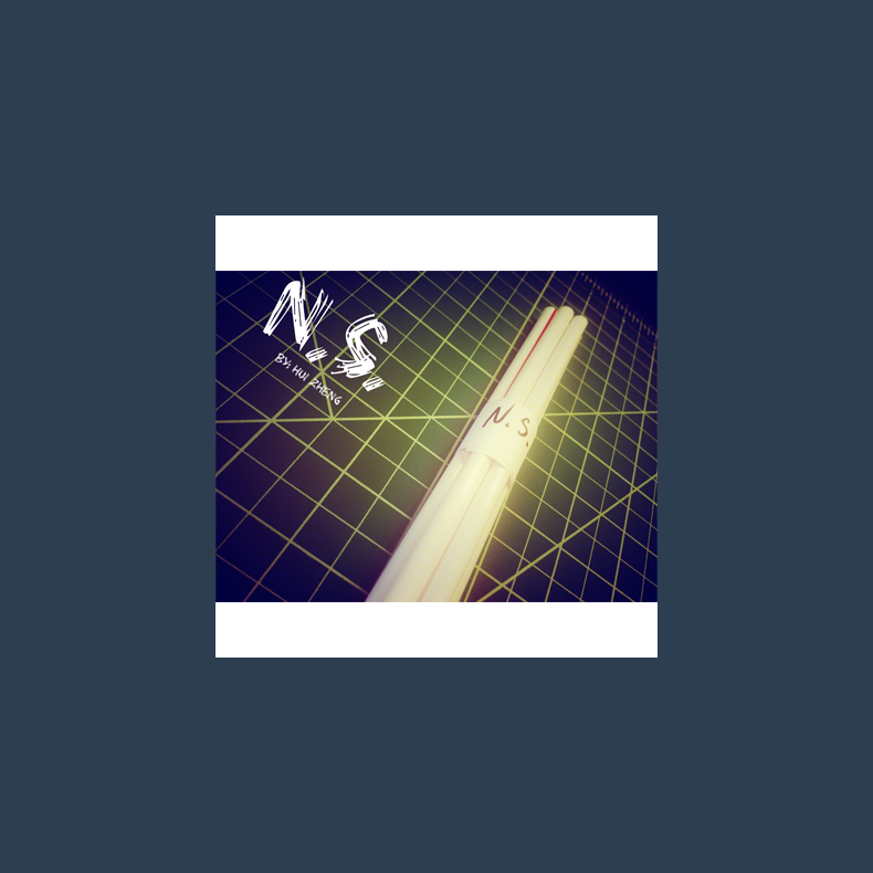 N.S. by Hui Zheng - Video DOWNLOAD