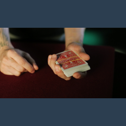 Houdini's Last Transposition by Dan Hauss video DOWNLOAD