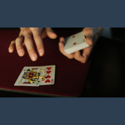 Houdini's Last Transposition by Dan Hauss video DOWNLOAD