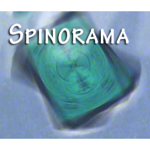 Spinorama by William Lee video DOWNLOAD