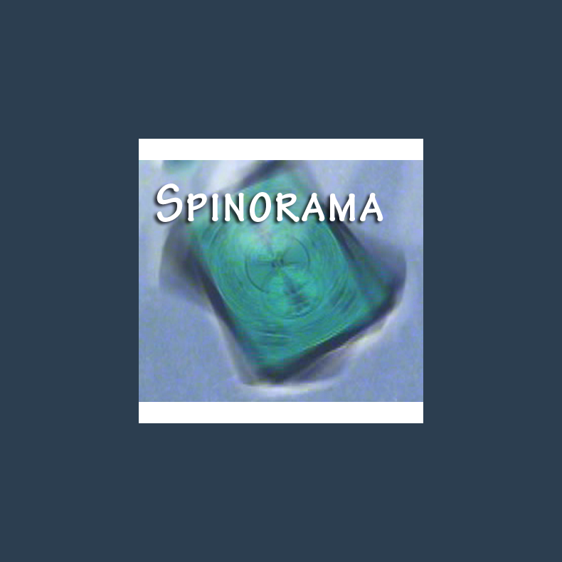 Spinorama by William Lee video DOWNLOAD
