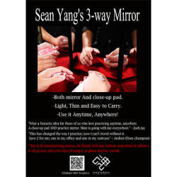 3-Way Mirror by Sean Yang and Magic Soul