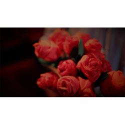 The Saint-Exerpury Rose by Vincent Mendoza &amp; Lost Art Magic - Video DOWNLOA