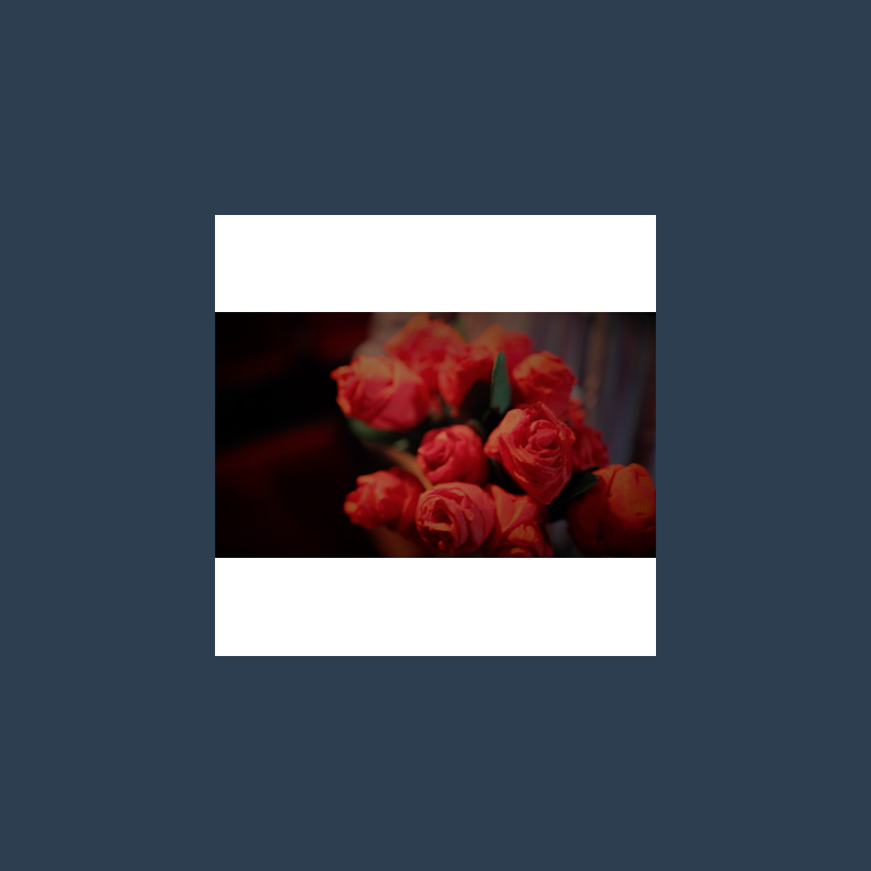 The Saint-Exerpury Rose by Vincent Mendoza &amp; Lost Art Magic - Video DOWNLOA