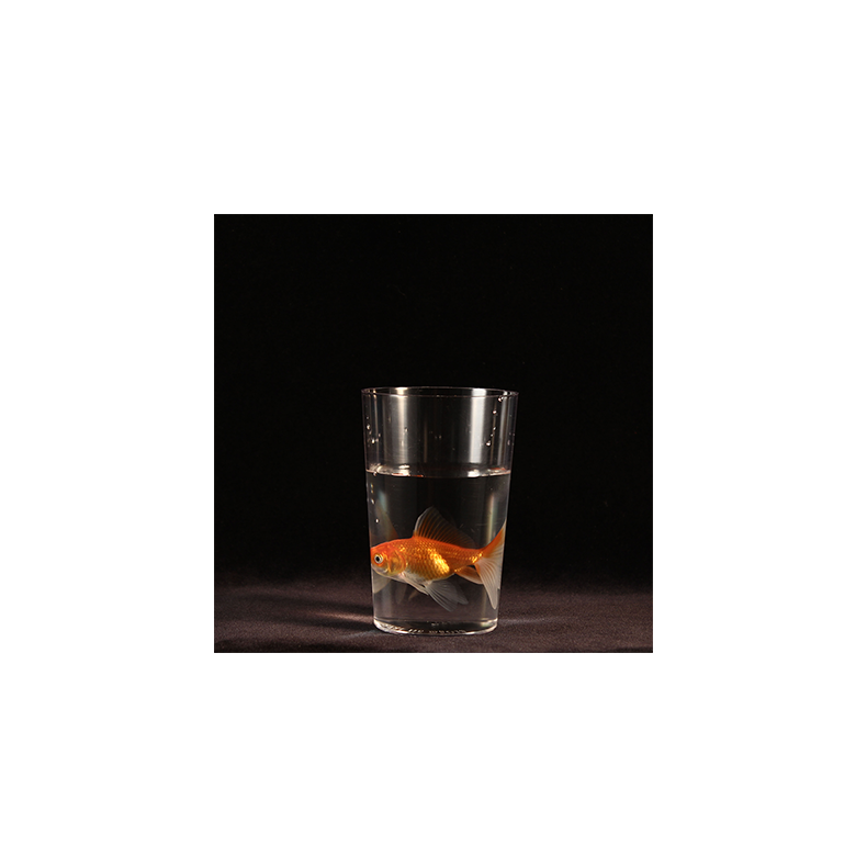 Milk To by Bazar de Magia