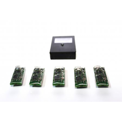 Mind Fusion by Joo Miranda Magic