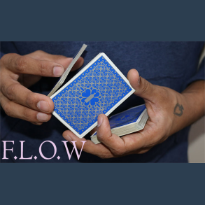 Magic Encarta Presents F.L.O.W by Vivek Singhi - Video DOWNLOAD
