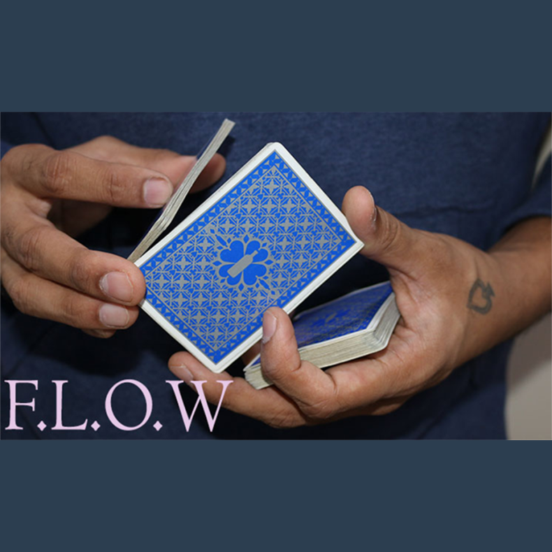 Magic Encarta Presents F.L.O.W by Vivek Singhi - Video DOWNLOAD