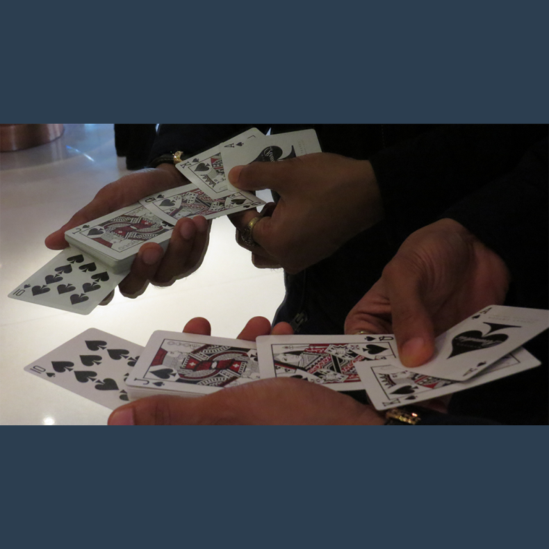 Magic Encarta Presents The Royal Flash by Vivek Singhi - Video DOWNLOAD