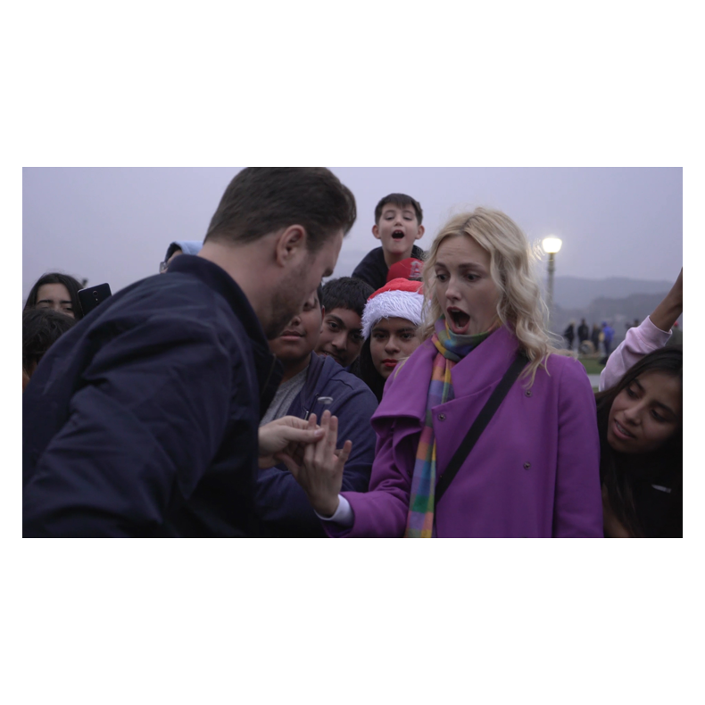 Tarantula II by Yigal Mesika