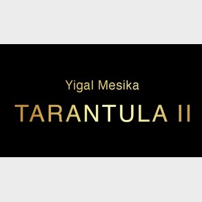 Tarantula II by Yigal Mesika
