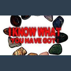 I know what you have got by Dan Alex eBook