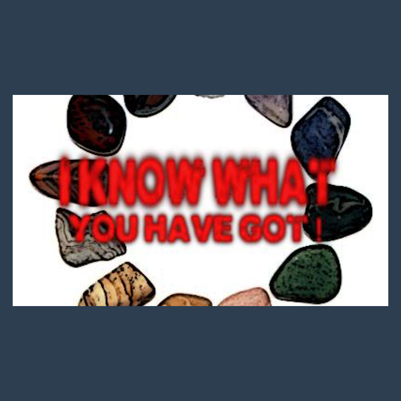 I know what you have got by Dan Alex eBook