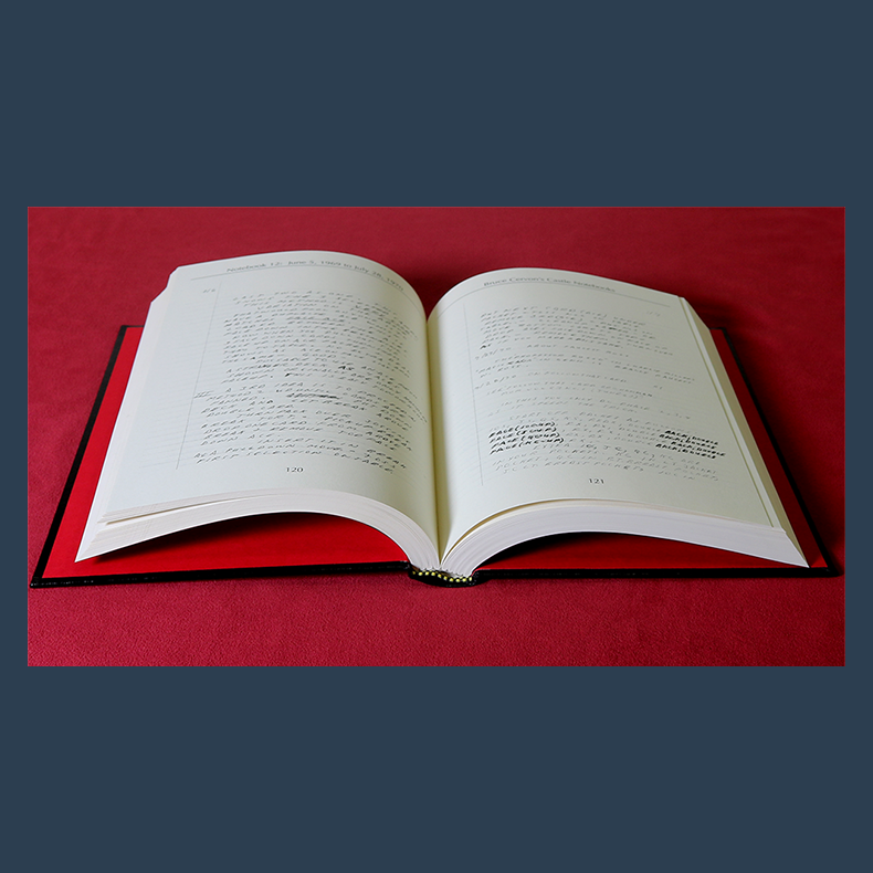 Bruce Cervon Castle Notebook, Vol. 5 - Book