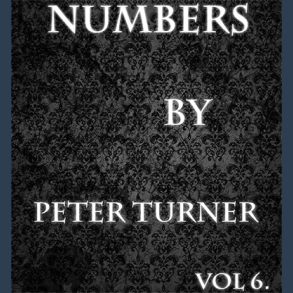 Numbers (Vol 6) by Peter Turner eBook DOWNLOAD
