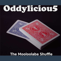 The Oddyliciou5 Package by The Mooloolaba Shuffle video DOWNLOAD