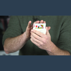 James Went's Meditations video DOWNLOAD