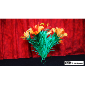 Classic Sleeve Bouquet Pair (6) Deluxe by Mr. Magic