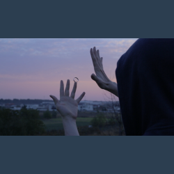 Butterfly Ring by Barbumagic - video DOWNLOAD