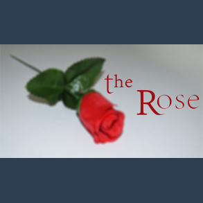 The Rose by Sandro Loporcaro (Amazo) video DOWNLOAD