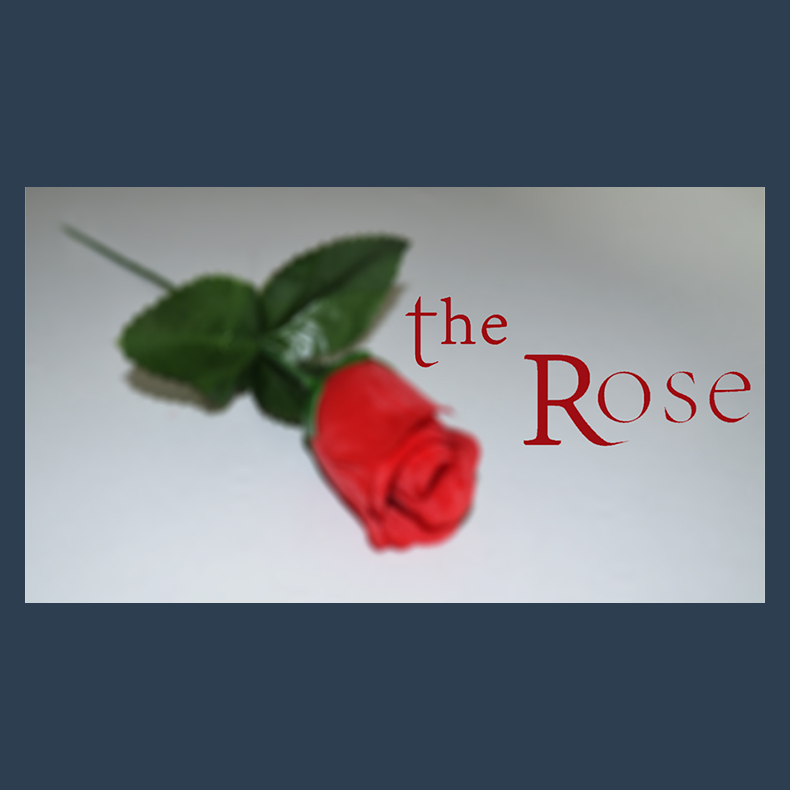 The Rose by Sandro Loporcaro (Amazo) video DOWNLOAD