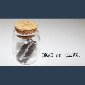 Dead or Alive by Sandro Loporcaro video DOWNLOAD