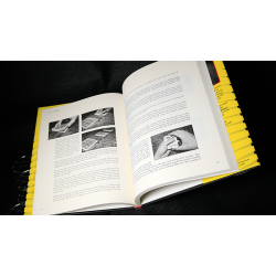 Spoiler Alert (Introduction by John Bannon) by Ryan Matney