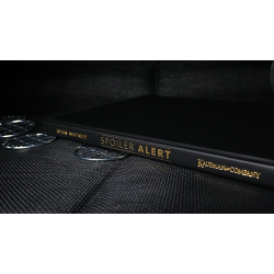 Spoiler Alert (Introduction by John Bannon) by Ryan Matney