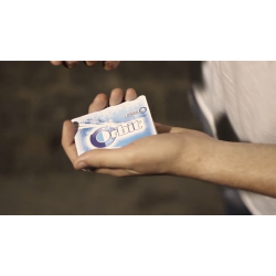 Flash Gum by Joo Miranda and Julio Montoro