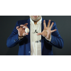 Silk to Egg PRO (Brown) by Joo Miranda 