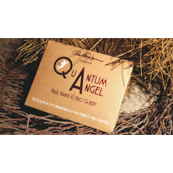 Paul Harris Presents Quantum Angel by Paul Harris