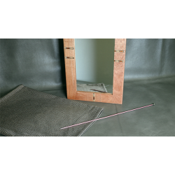 Flexible Mirror/Needle Through Mirror by Tony Karpinski