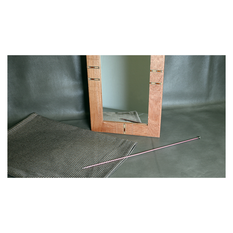 Flexible Mirror/Needle Through Mirror by Tony Karpinski