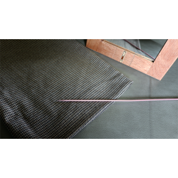 Flexible Mirror/Needle Through Mirror by Tony Karpinski