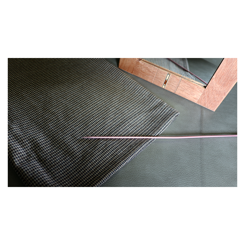 Flexible Mirror/Needle Through Mirror by Tony Karpinski