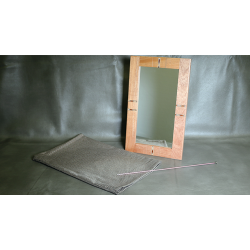 Flexible Mirror/Needle Through Mirror by Tony Karpinski