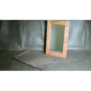 Flexible Mirror/Needle Through Mirror by Tony Karpinski