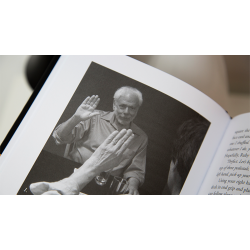 Artful Deceptions by Allan Zola Kronzek